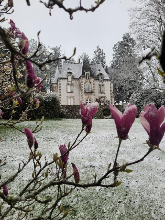 Chateau Maleplane Bed & Breakfast Saint Leonard de Noblat Bagian luar foto