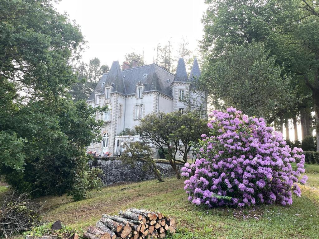 Chateau Maleplane Bed & Breakfast Saint Leonard de Noblat Bagian luar foto