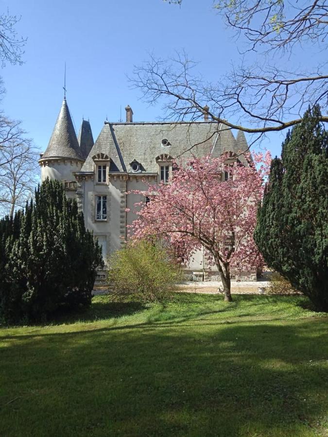 Chateau Maleplane Bed & Breakfast Saint Leonard de Noblat Bagian luar foto