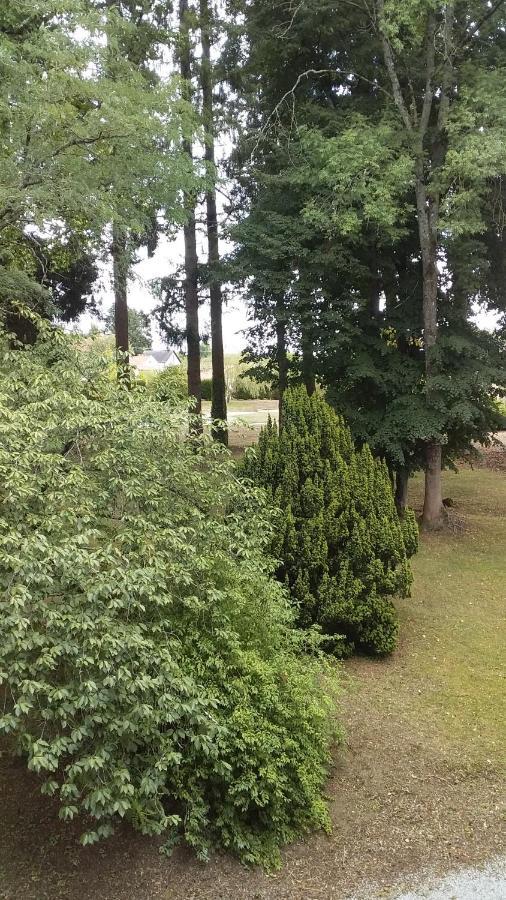 Chateau Maleplane Bed & Breakfast Saint Leonard de Noblat Bagian luar foto
