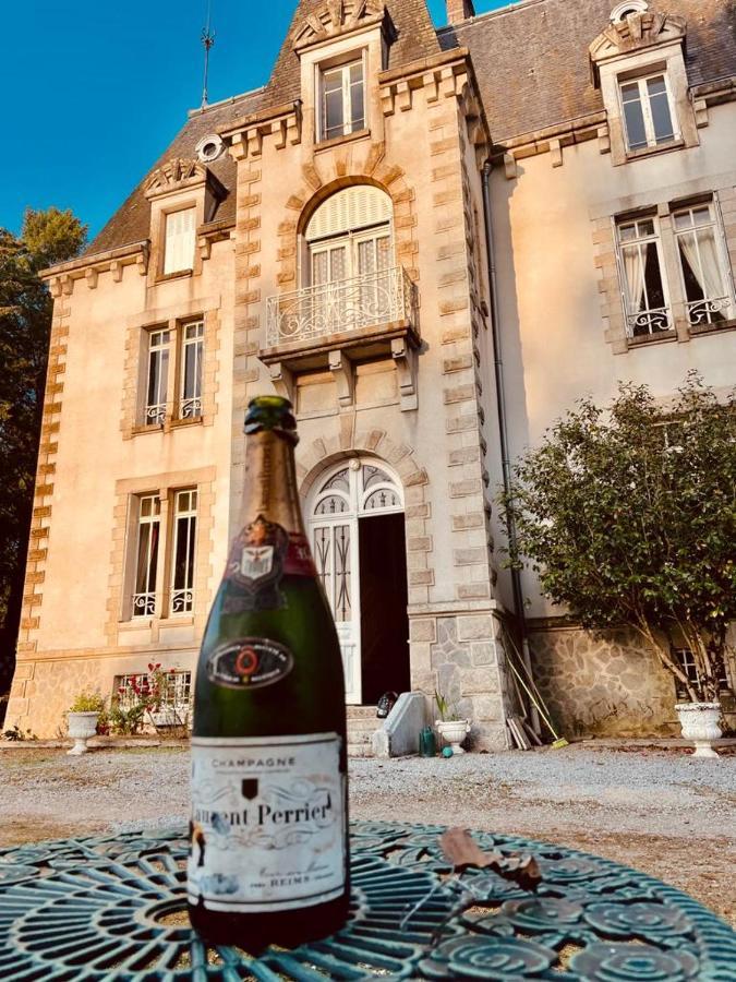 Chateau Maleplane Bed & Breakfast Saint Leonard de Noblat Bagian luar foto