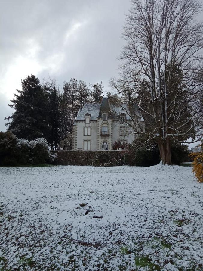 Chateau Maleplane Bed & Breakfast Saint Leonard de Noblat Bagian luar foto