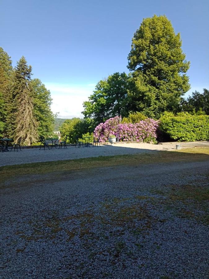 Chateau Maleplane Bed & Breakfast Saint Leonard de Noblat Bagian luar foto