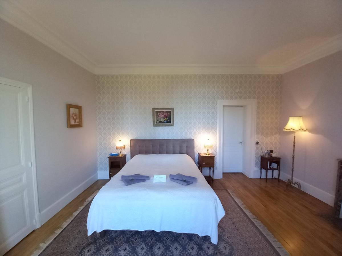 Chateau Maleplane Bed & Breakfast Saint Leonard de Noblat Bagian luar foto