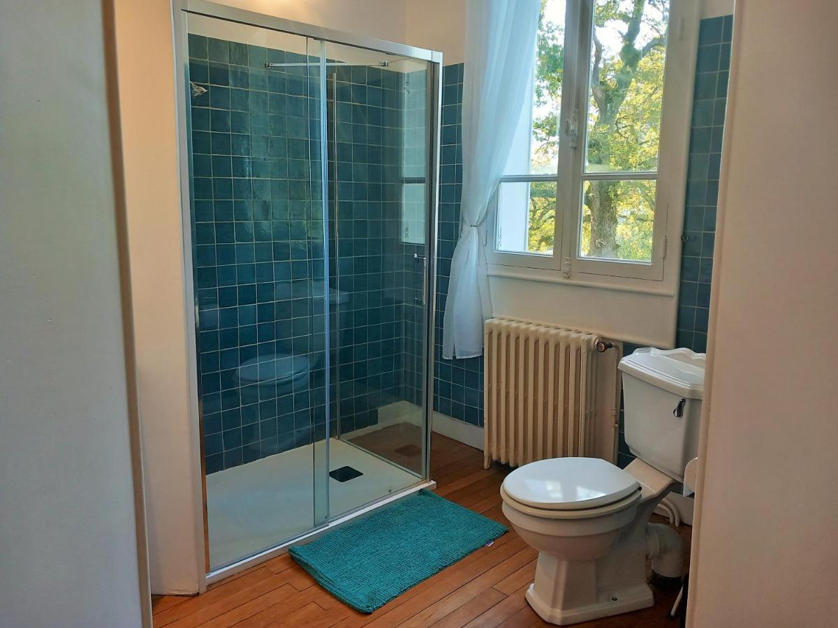 Chateau Maleplane Bed & Breakfast Saint Leonard de Noblat Bagian luar foto