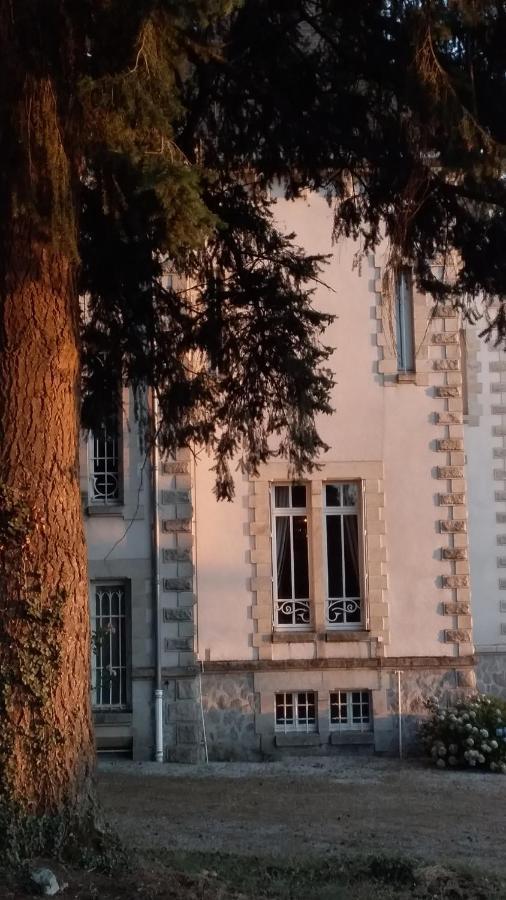 Chateau Maleplane Bed & Breakfast Saint Leonard de Noblat Bagian luar foto