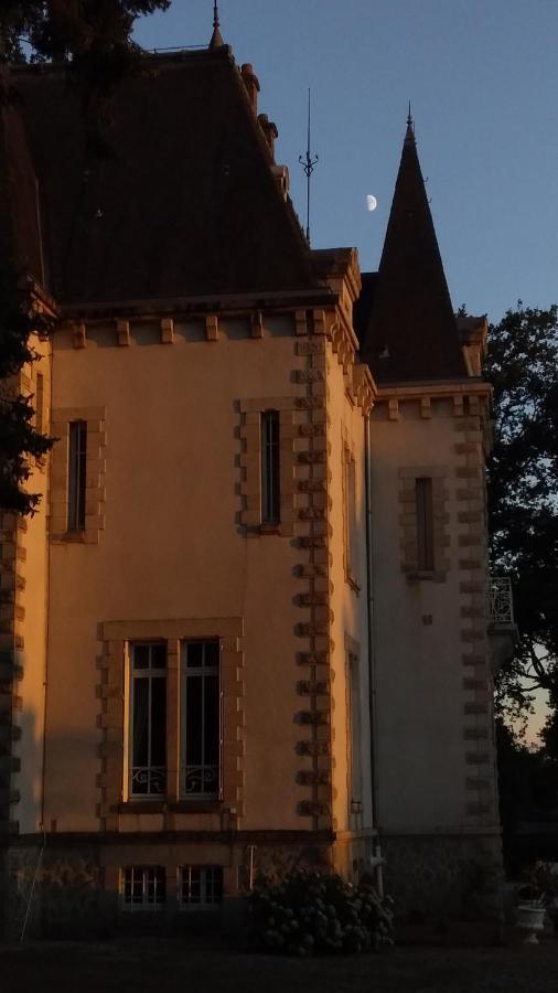 Chateau Maleplane Bed & Breakfast Saint Leonard de Noblat Bagian luar foto