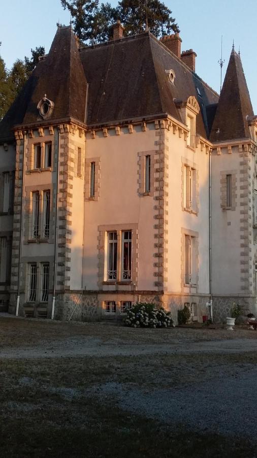Chateau Maleplane Bed & Breakfast Saint Leonard de Noblat Bagian luar foto