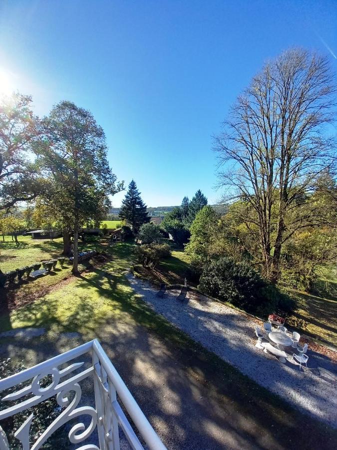 Chateau Maleplane Bed & Breakfast Saint Leonard de Noblat Bagian luar foto