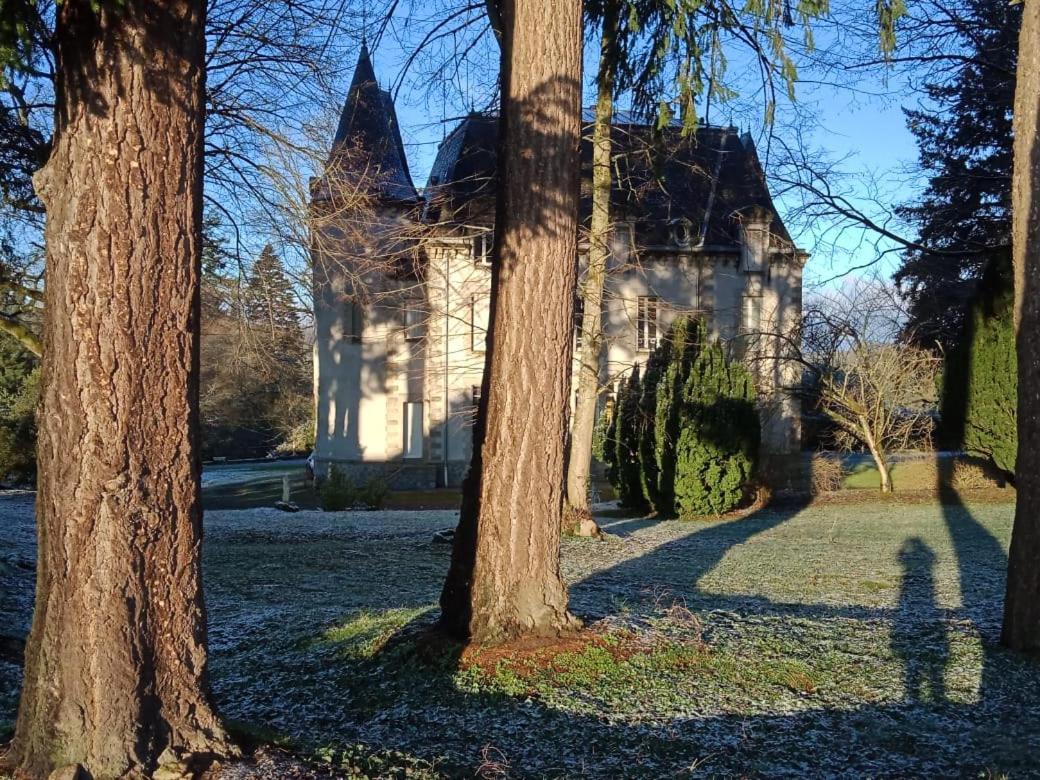 Chateau Maleplane Bed & Breakfast Saint Leonard de Noblat Bagian luar foto